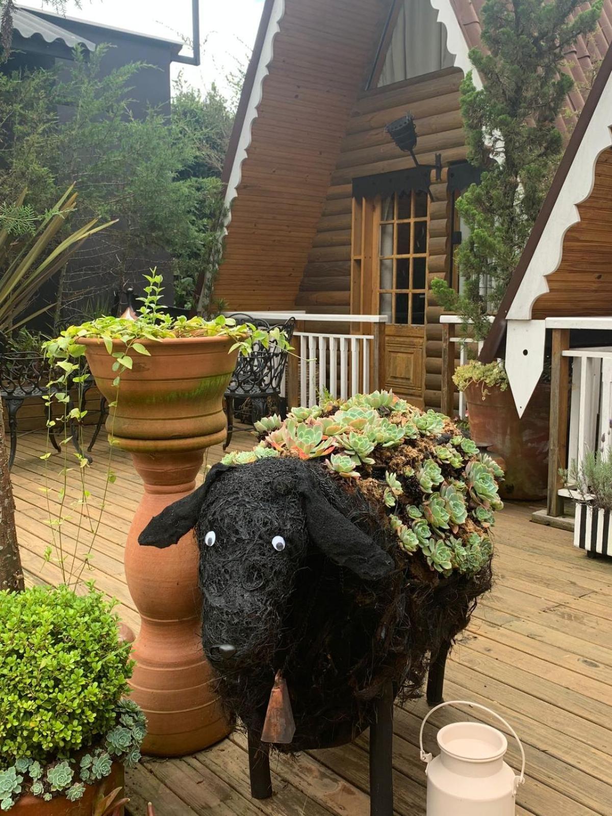 Suites No Chale Campos do Jordão Zewnętrze zdjęcie
